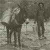 George Bonner packing water