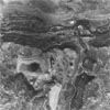 Aerial View #8
